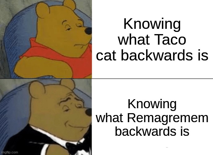 My main username backwards sounds really cool TBH | Knowing what Taco cat backwards is; Knowing what Remagremem backwards is | image tagged in memes,tuxedo winnie the pooh | made w/ Imgflip meme maker