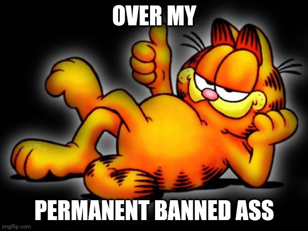garfield thumbs up | OVER MY PERMANENT BANNED ASS | image tagged in garfield thumbs up | made w/ Imgflip meme maker
