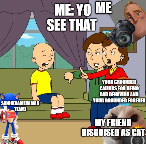 ayo i recording caliou got grounded | ME; ME: YO SEE THAT; YOUR GROUNDED CALIOUS FOR BEING BAD BEHAVIOR AND YOUR GROUNDED FOREVER; SONIC(CAMERAMAN TEAM); MY FRIEND DISGUISED AS CAT | image tagged in caillou gets grounded for insert reason here | made w/ Imgflip meme maker