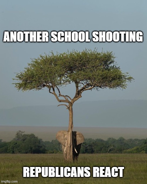 After decades of foot dragging, they're worried about knee jerk reactions | ANOTHER SCHOOL SHOOTING; REPUBLICANS REACT | image tagged in elephant hiding,republicans,school shooting,robb elementary | made w/ Imgflip meme maker