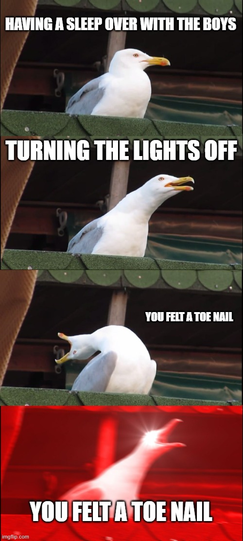 Inhaling Seagull | HAVING A SLEEP OVER WITH THE BOYS; TURNING THE LIGHTS OFF; YOU FELT A TOE NAIL; YOU FELT A TOE NAIL | image tagged in memes,inhaling seagull | made w/ Imgflip meme maker