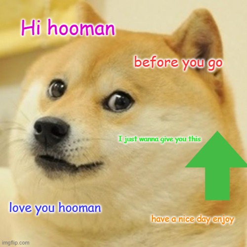 Doge |  Hi hooman; before you go; I just wanna give you this; love you hooman; have a nice day enjoy | image tagged in memes,doge,repost | made w/ Imgflip meme maker