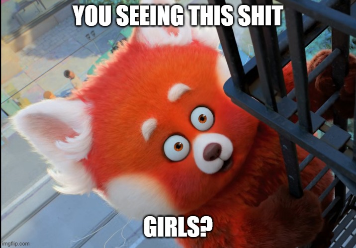 Mei's seeing some shit | YOU SEEING THIS SHIT; GIRLS? | image tagged in turning red | made w/ Imgflip meme maker