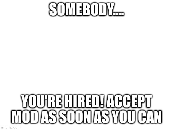 Somebody, ur hired! | SOMEBODY.... YOU'RE HIRED! ACCEPT MOD AS SOON AS YOU CAN | image tagged in blank white template | made w/ Imgflip meme maker