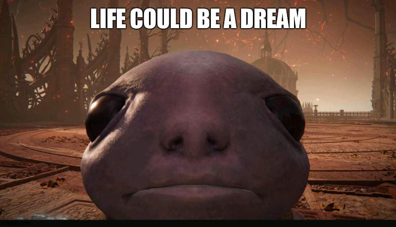 sh-bop | LIFE COULD BE A DREAM | image tagged in staring albinauric | made w/ Imgflip meme maker