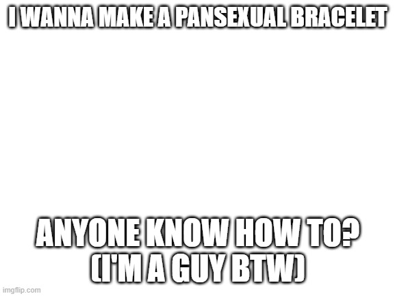 pls help meh | I WANNA MAKE A PANSEXUAL BRACELET; ANYONE KNOW HOW TO?
(I'M A GUY BTW) | image tagged in blank white template | made w/ Imgflip meme maker