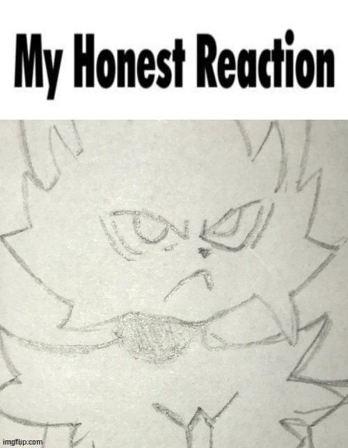 my honest reaction | image tagged in my honest reaction | made w/ Imgflip meme maker