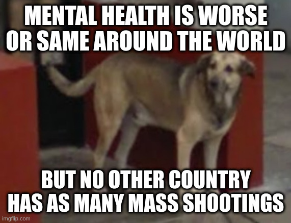 if dogs ruled we wouldn't have mass shootings | MENTAL HEALTH IS WORSE OR SAME AROUND THE WORLD BUT NO OTHER COUNTRY HAS AS MANY MASS SHOOTINGS | image tagged in dog,rule,justice | made w/ Imgflip meme maker