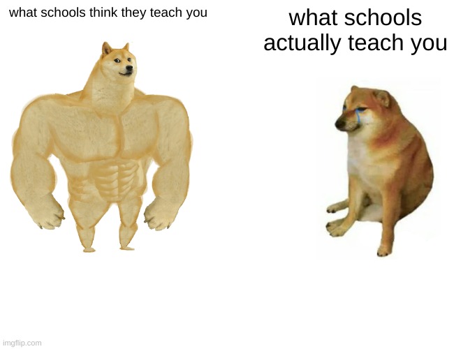 exactly | what schools think they teach you; what schools actually teach you | image tagged in memes,buff doge vs cheems,school,oh wow are you actually reading these tags,stop reading the tags | made w/ Imgflip meme maker