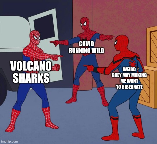 Me today | COVID RUNNING WILD; VOLCANO SHARKS; WEIRD GREY MAY MAKING ME WANT TO HIBERNATE | image tagged in spider man triple | made w/ Imgflip meme maker