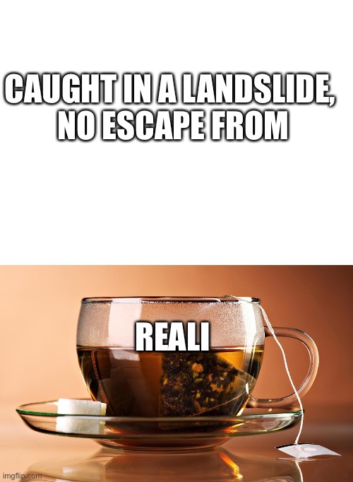 CAUGHT IN A LANDSLIDE, 
NO ESCAPE FROM REALI | image tagged in blank white template | made w/ Imgflip meme maker
