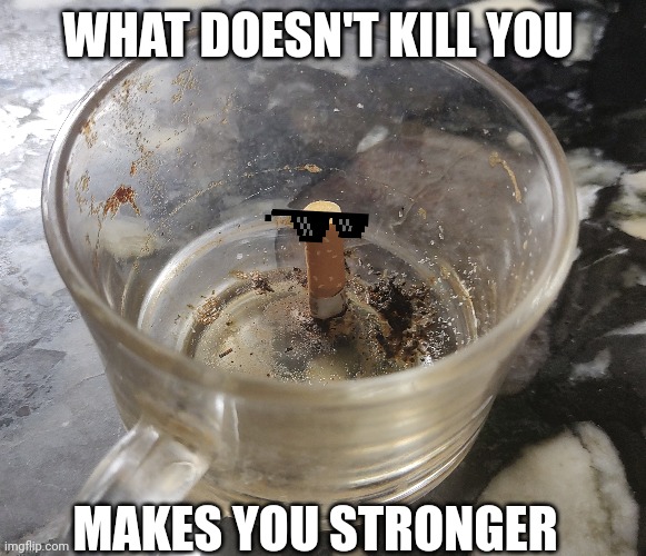 What doesn't kill you makes you stronger ig |  WHAT DOESN'T KILL YOU; MAKES YOU STRONGER | image tagged in memes,funny,lmao,strong,wtf,how | made w/ Imgflip meme maker