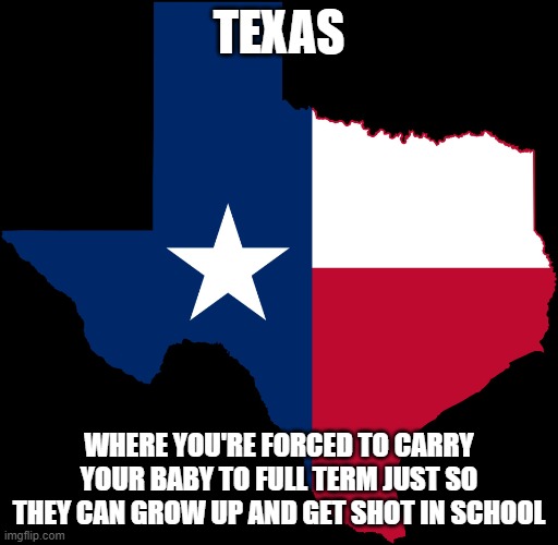 texas map | TEXAS; WHERE YOU'RE FORCED TO CARRY YOUR BABY TO FULL TERM JUST SO THEY CAN GROW UP AND GET SHOT IN SCHOOL | image tagged in texas map | made w/ Imgflip meme maker