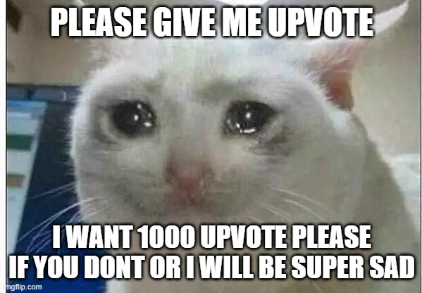 give me upvote :( or i will be super sad okay nvm | PLEASE GIVE ME UPVOTE; I WANT 1000 UPVOTE PLEASE IF YOU DONT OR I WILL BE SUPER SAD | image tagged in crying cat | made w/ Imgflip meme maker