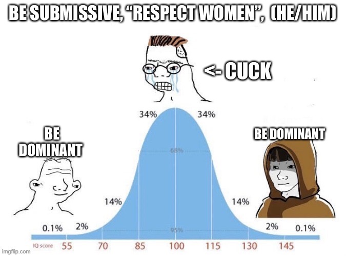 Bell Curve | BE SUBMISSIVE, “RESPECT WOMEN”,  (HE/HIM); <- CUCK; BE DOMINANT; BE DOMINANT | image tagged in bell curve | made w/ Imgflip meme maker
