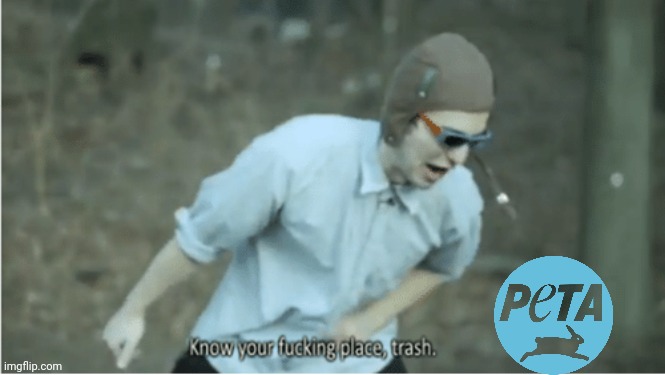 You must know your place | image tagged in know your place trash,filthy frank,filthyfrank | made w/ Imgflip meme maker