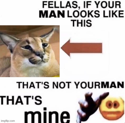 Made my own too | made w/ Imgflip meme maker