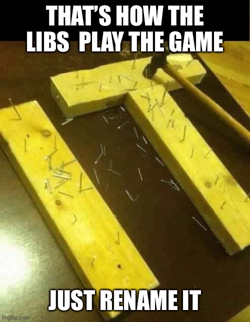 nailed it | THAT’S HOW THE LIBS  PLAY THE GAME JUST RENAME IT | image tagged in nailed it | made w/ Imgflip meme maker