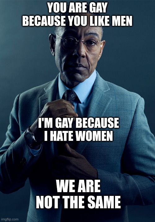 Gus Fring we are not the same | YOU ARE GAY BECAUSE YOU LIKE MEN; I'M GAY BECAUSE I HATE WOMEN; WE ARE NOT THE SAME | image tagged in gus fring we are not the same | made w/ Imgflip meme maker