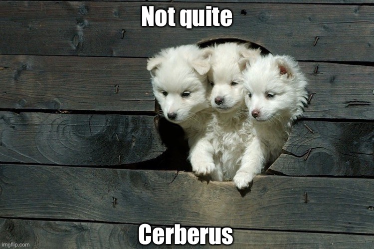 Missed it by that pups | Not quite; Cerberus | image tagged in cerberus pups,puppies,cute,cerberus | made w/ Imgflip meme maker