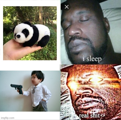 what | image tagged in memes,sleeping shaq | made w/ Imgflip meme maker