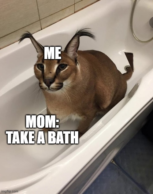 ｂａｔｈ　ｔｉｍｅ | ME; MOM:　TAKE A BATH | image tagged in floppa | made w/ Imgflip meme maker