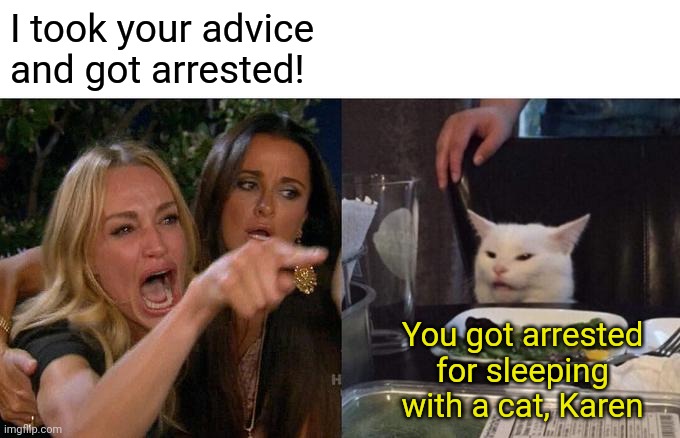 Woman Yelling At Cat | I took your advice and got arrested! You got arrested for sleeping with a cat, Karen | image tagged in memes,woman yelling at cat | made w/ Imgflip meme maker