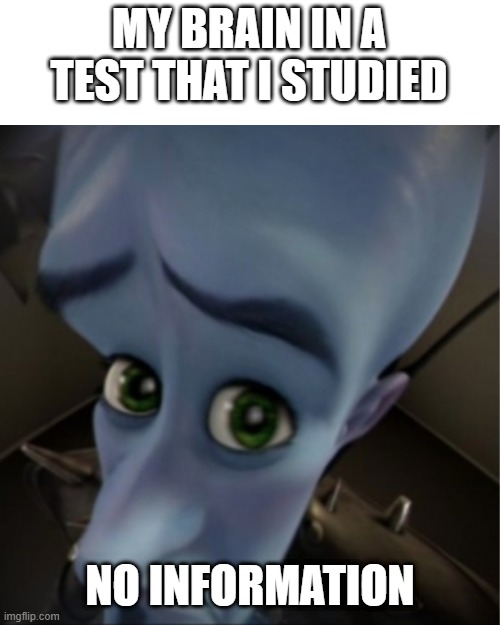 My brain at a test | MY BRAIN IN A TEST THAT I STUDIED; NO INFORMATION | image tagged in megamind peeking | made w/ Imgflip meme maker