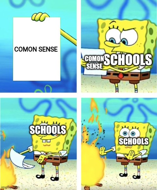 Spongebob Burning Paper | COMON SENSE; SCHOOLS; COMON SENSE; SCHOOLS; SCHOOLS | image tagged in spongebob burning paper | made w/ Imgflip meme maker