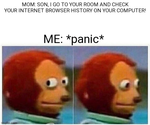 If my Mom check my Internet Browser History... | MOM: SON, I GO TO YOUR ROOM AND CHECK YOUR INTERNET BROWSER HISTORY ON YOUR COMPUTER! ME: *panic* | image tagged in memes,monkey puppet,internet,browser history,funny,panic | made w/ Imgflip meme maker