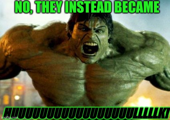 hulk | NO, THEY INSTEAD BECAME HUUUUUUUUUUUUUUUUULLLLLK! | image tagged in hulk | made w/ Imgflip meme maker