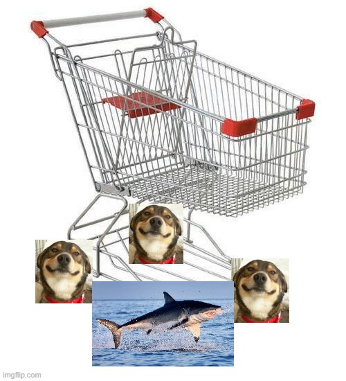 shopping cart | image tagged in shopping cart | made w/ Imgflip meme maker