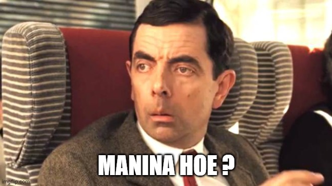 Seh | MANINA HOE ? | image tagged in what | made w/ Imgflip meme maker