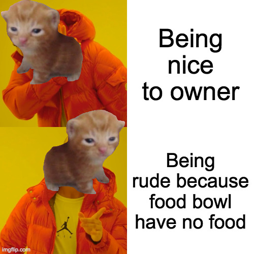 Drake Hotline Bling | Being nice to owner; Being rude because food bowl have no food | image tagged in memes,drake hotline bling | made w/ Imgflip meme maker