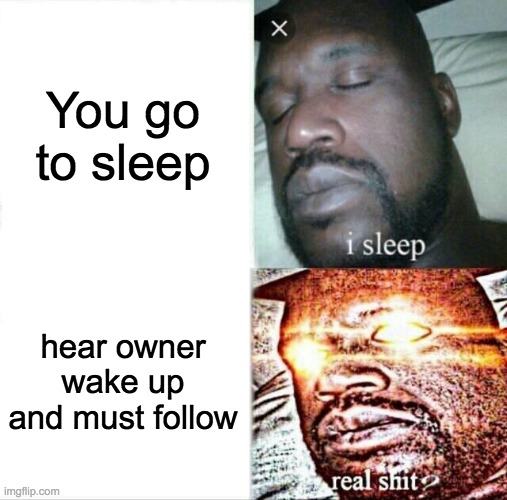 Sleeping Shaq Meme | You go to sleep; hear owner wake up and must follow | image tagged in memes,sleeping shaq | made w/ Imgflip meme maker