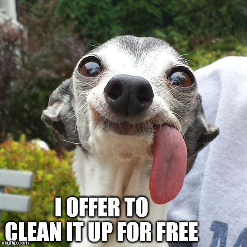Dog tongue | I OFFER TO CLEAN IT UP FOR FREE | image tagged in dog tongue | made w/ Imgflip meme maker