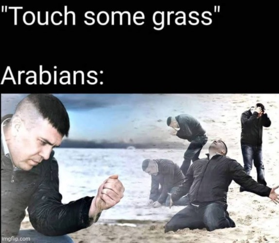 image tagged in saudi arabia,touch,grass | made w/ Imgflip meme maker