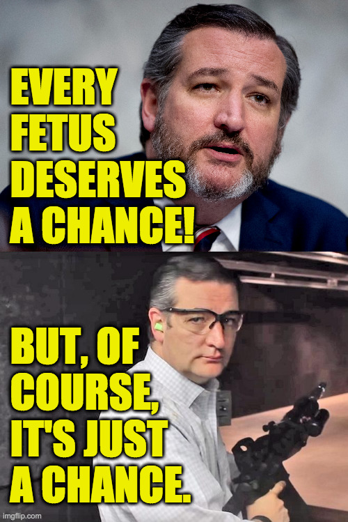 Ted Cruz, active shooter. | EVERY
 FETUS
 DESERVES
 A CHANCE! BUT, OF
 COURSE,
 IT'S JUST
 A CHANCE. | image tagged in memes,ted cruz,active shooter,what it is | made w/ Imgflip meme maker