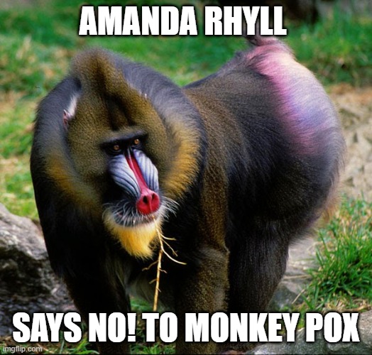 Amanda Rhyll - says NO to Monkey Pox | AMANDA RHYLL; SAYS NO! TO MONKEY POX | image tagged in amanda rhyll | made w/ Imgflip meme maker