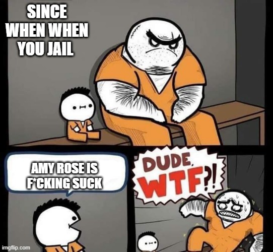 Dude wtf | SINCE WHEN WHEN YOU JAIL AMY ROSE IS F*CKING SUCK | image tagged in dude wtf | made w/ Imgflip meme maker