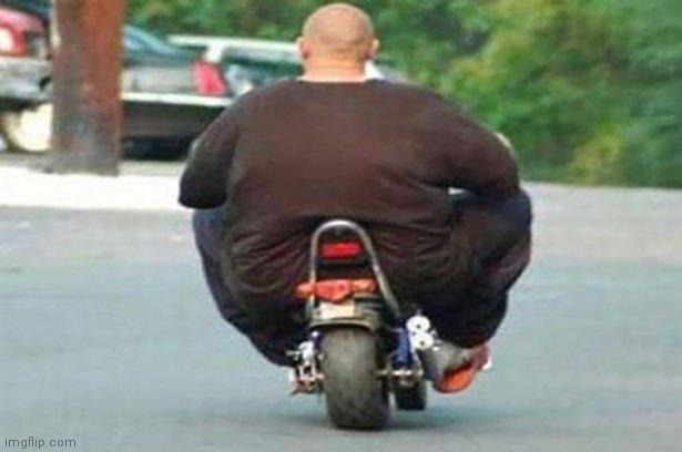 Fat guy on a little bike  | image tagged in fat guy on a little bike | made w/ Imgflip meme maker