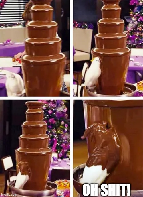 GETTING A MOUTHFUL | OH SHIT! | image tagged in chocolate,birds,wtf | made w/ Imgflip meme maker