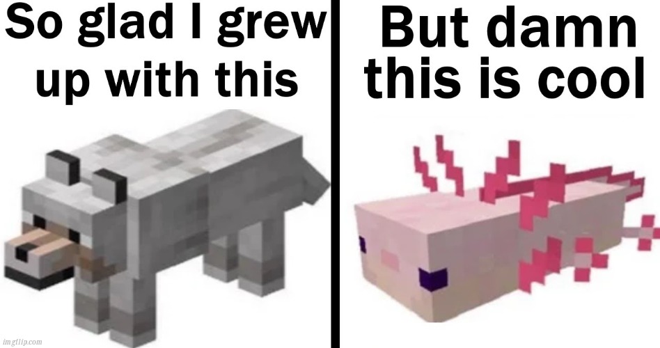 So cool | image tagged in minecraft,wolf,axolotl,memes,nice | made w/ Imgflip meme maker