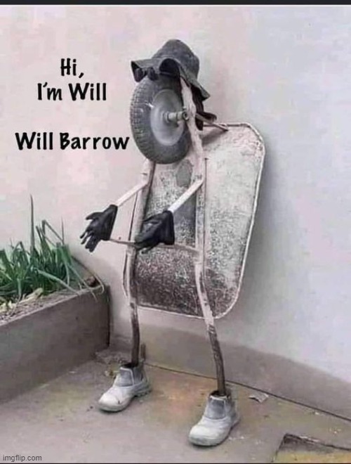 will barrow | image tagged in wheel barrow,jokes | made w/ Imgflip meme maker