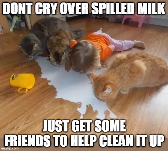 CATS WILL LOVE TO HELP | DONT CRY OVER SPILLED MILK; JUST GET SOME FRIENDS TO HELP CLEAN IT UP | image tagged in cats,funny cats | made w/ Imgflip meme maker