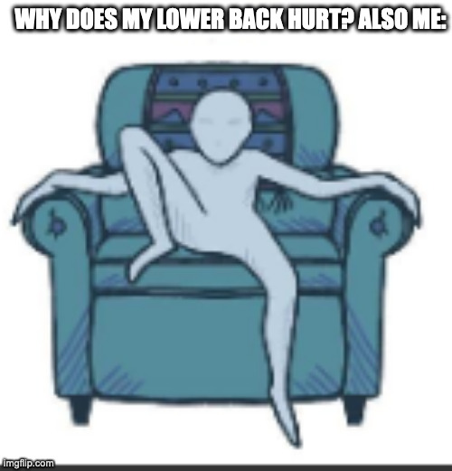 WHY DOES MY LOWER BACK HURT? ALSO ME: | image tagged in you want tags i will give you tags | made w/ Imgflip meme maker