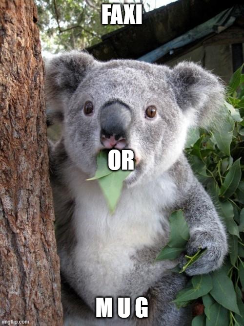 Which One? | FAXI; OR; M U G | image tagged in memes,surprised koala | made w/ Imgflip meme maker