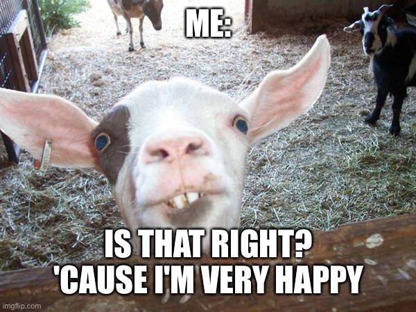 Smiling Goat | ME: IS THAT RIGHT? 'CAUSE I'M VERY HAPPY | image tagged in smiling goat | made w/ Imgflip meme maker