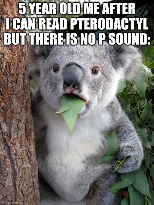 What!!!!!!! |  5 YEAR OLD ME AFTER I CAN READ PTERODACTYL BUT THERE IS NO P SOUND: | image tagged in memes,surprised koala | made w/ Imgflip meme maker