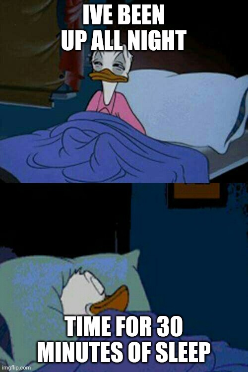 lets get real, m probably not waking up until 5 hours later | IVE BEEN UP ALL NIGHT; TIME FOR 30 MINUTES OF SLEEP | image tagged in sleepy donald duck in bed | made w/ Imgflip meme maker